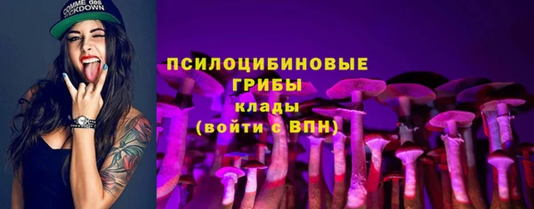 шишки Переславль-Залесский