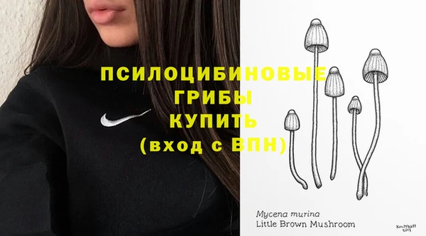 метадон Пестово
