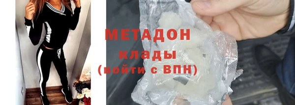прущие грибы Пересвет