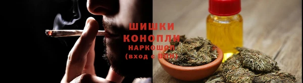 прущие грибы Пересвет