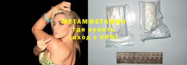 прущие грибы Пересвет