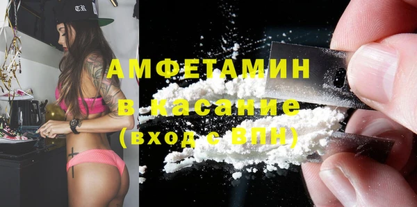 прущие грибы Пересвет