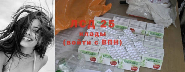 прущие грибы Пересвет