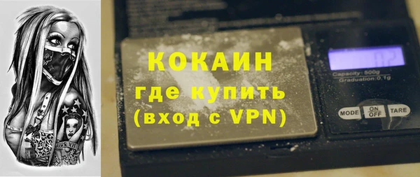 прущие грибы Пересвет