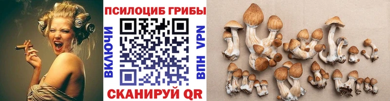 Купить  Урюпинск  Псилоцибиновые грибы мицелий 